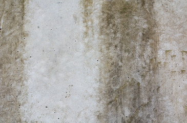 Fototapeta premium Cement background texture