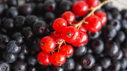 a combination of black and red berries (blackberries and red cur
