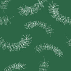 Seamless pattern with white pine branch on green background. Hand drawn vector illustration.