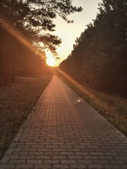 radweg bei sonnenuntergang