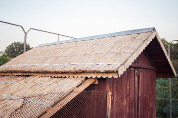 Reed roof of henhouse © yanakoles
