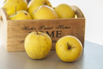 fresh autumn yellow apples on wooden table