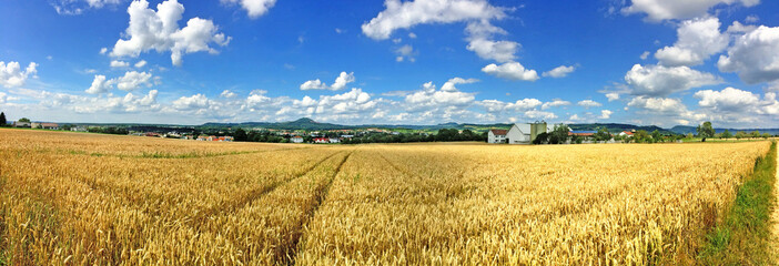 Reifer Roggen, Feld in Deutschland