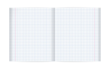Exercise book in a cage and red margin. Double pages paper sheet school book with red margins, clean squared texture worksheet. Squared paper from a notebook in mathematics. Exercise book in a cage 