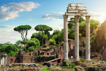 Fototapeta na wymiar Roman Forum, Italy