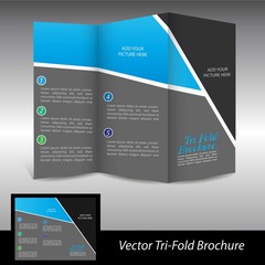 Black and blue brochure