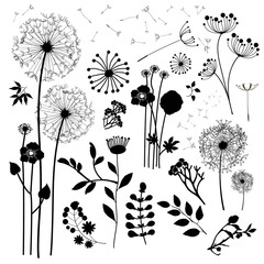 Wild flowers silhouettes
