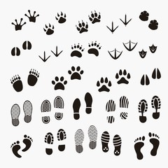 Footprints shadows of animals and human