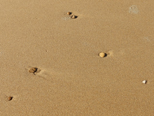 Fototapeta na wymiar smooth pebbles on a sandy beach