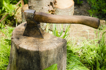 Fototapeta premium Axe