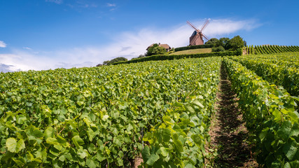 Windmill on a hill