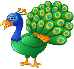 Happy peacock cartoon isolated on white background