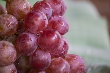 Bunch of red grapes , fresh with water drops isolated on banana leaf background , Close up , Low key photo natural light , Focus sharp specific point
