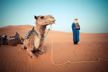 Moroccan berber watching the camel caravan at sunrise in the Sahara Desert 