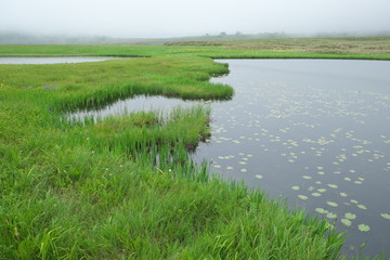 雨竜沼湿原