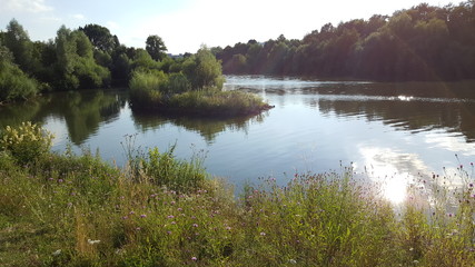 Fototapeta na wymiar Fluss Neckar
