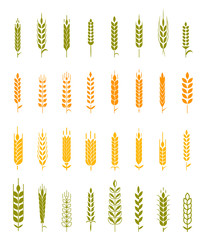 Set of simple and stylish Wheat.