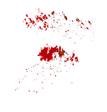 blood wine splatter vector illustration. hand drawn paint spot s