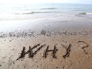 WHY written on the sand of the sea