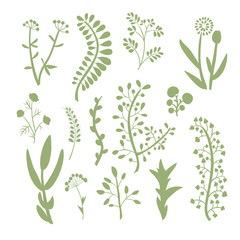 Set of hand-drawn silhouette of branches with leaves and berries.