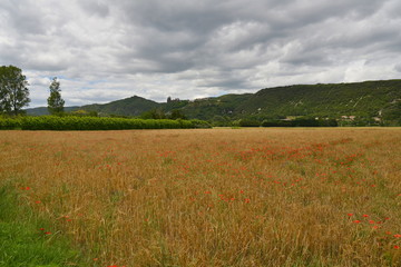 Landschaften entlang der Via Rhona in der Ardeche