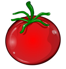 tomato cartoon isolated on white background