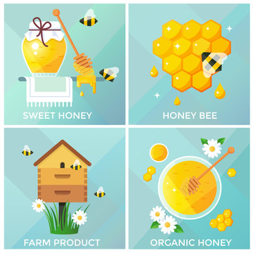 Honey, honeycomb and bees vector illustration, flat design