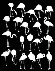 set of twenty one flamingo silhouettes isolated on black