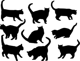 nine isolated black silhouettes of cats