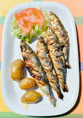 Top view on grilled sardines plate with potato on the table background, closeup flat lay