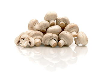 champignons on a white background with reflection
