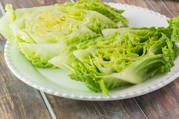 Fresh cut romano lettuce.