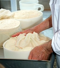 senior expert cheesemaker checks he wheel of cheese just made in