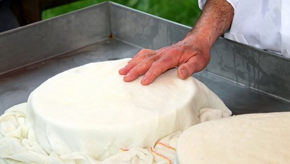 expert cheesemaker over the cheese in the dairy
