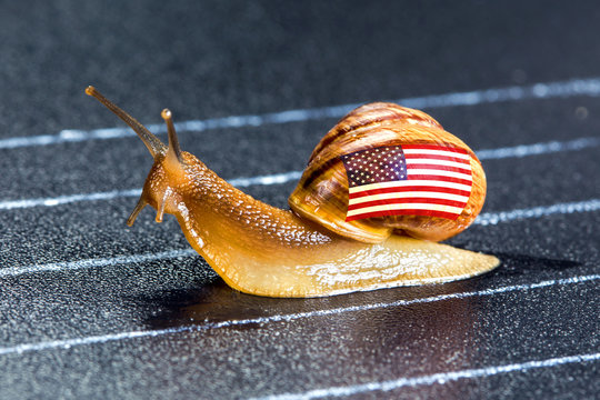 Snail under flag of United States on sports track moves to finish line