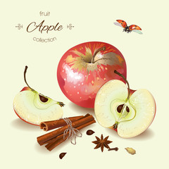 Vector realistic illustration of red apple with cinnamon. Isolated on light green background. Design for tea, ice cream, cosmetics, candy and bakery with black apple filling, health care products. - 116616153