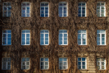 View of a brick wall with windows