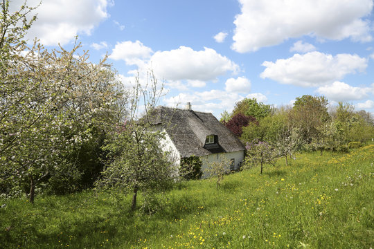 A little cottage in a dutch landscape