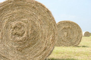 stubble field with hay bales