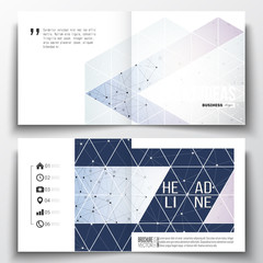 Set of annual report business templates for brochure, magazine, flyer or booklet. Polygonal low poly backdrop with connecting dots and lines, connection structure, blue background. Science vector