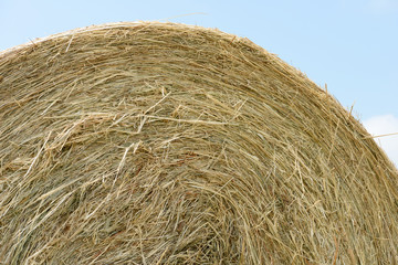 hay bales