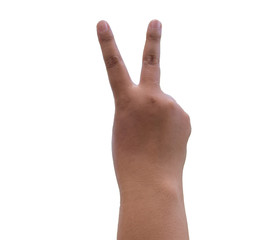 Fototapeta premium hand