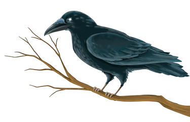 Cartoon bird - cow on the branch - isolated - illustration for children