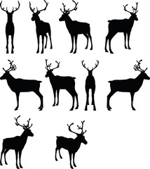 reindeer collection vector silhouette
