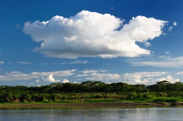 Fotobehang South America,  Amazon river landscape in Brazil © Rafal Cichawa