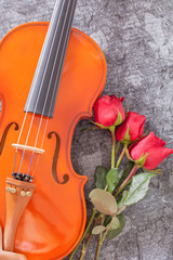 Fototapeta premium Red rose