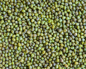 Green bean or mung bean background