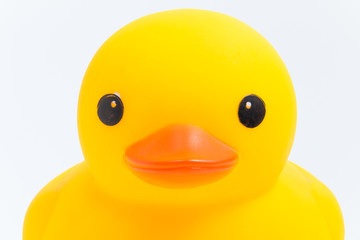 close up  face yellow rubber duck isolate on white background