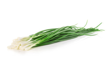 Green onion close-up isolated on a white background. Food concept.