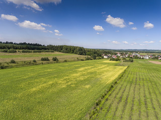 Rural landscape with green hill and blue sky in Poland. View fro